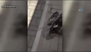 Ölmek üzereydi ki su verildi
