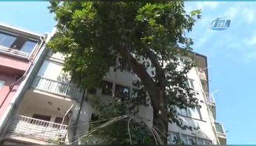 Bursa'da tarihi çınar araçların üzerine devrildi: 1 yaralı - 2