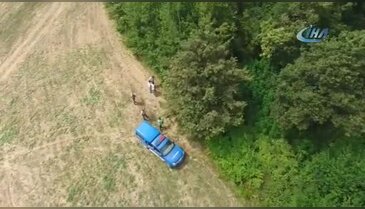 Bursa'da jandarmadan 'drone'lu kenevir operasyonu