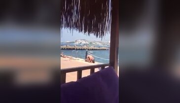 Deniz kenarında bikiniyle namaz kıldı!