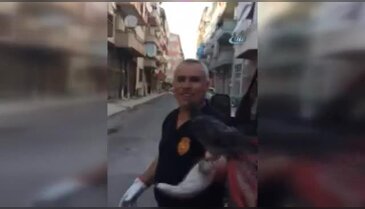 Vefalı güvercin!