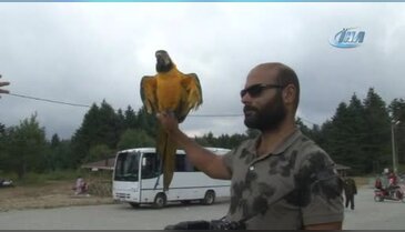 Bursa Uludağ'da papağanla fotoğraf çekilmek için sıraya girdiler