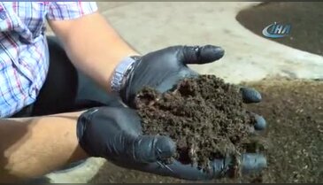 Müdürlüğü bıraktı solucan gübresi işine girdi
