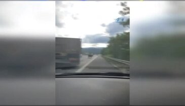 TEM'de sürücülere dana sürprizi