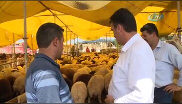 Bursa'da Dündar, kurban pazarlığında arabuluculuk yaptı