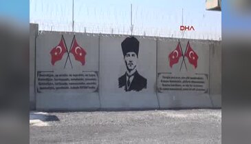 Sayıları her geçen gün artıyor