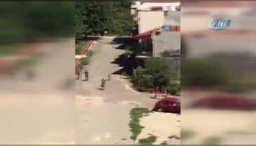 Bursa'da sahibinin elinden kurtuldu, bir saat kovalattı
