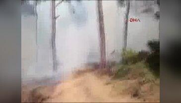 Yangın yeniden başladı, mahalle tahliye edildi