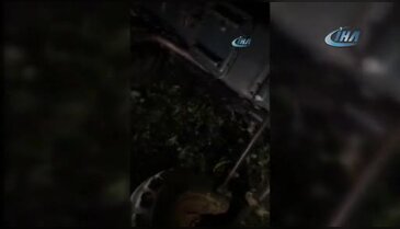 Bursa'da tarlaya gidince çiftçinin cesediyle karşılaştılar