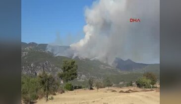 Muğla'da orman yangını - 2