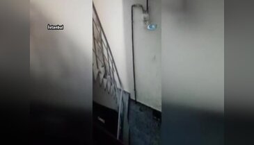 Apartmana dadanan ayakkabı hırsızı kameraya yakalandı