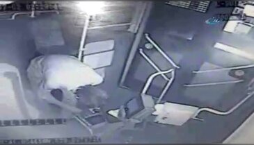 10 dakikada 5 otobüse giren hırsız kamerada