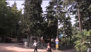 Bursa'ya tamamlayıcı tıp hastanesi kuruluyor!