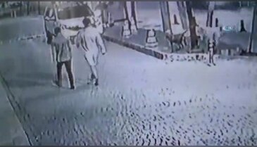 Sokak köpekleri bir genci böyle ısırdı