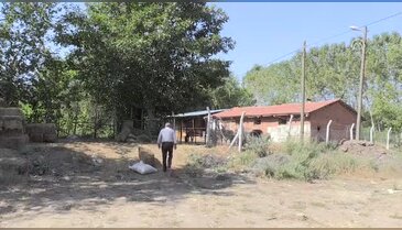 Bursa'nın eşek sütü sabununa ilgi artıyor