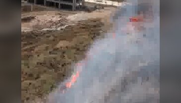 Bursa'da otomobilden atılan sigara yangın çıkardı!