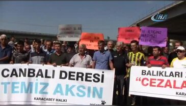 Bursa Karacabey'deki balık katliamları protesto edildi
