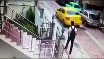 Taksici köpeği ezip ardına bakmadan kaçtı!