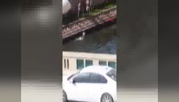 Eskişehir'de inanılmaz görüntü! Atı böyle kurtardılar