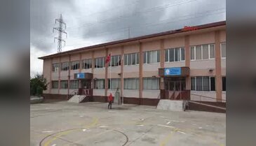 Okul bahçesinde yuva yapan arılar öğrencilere saldırdı