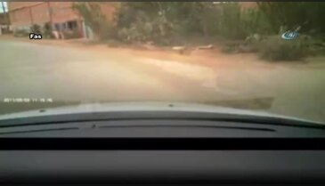 Kontrolü kaybedince ağaçlık alana uçtular