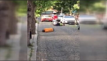 Şehrin göbeğinde ibretlik bonzai krizleri!