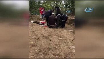 Bursa'da köyde, yavru kedi kurtarma operasyonu