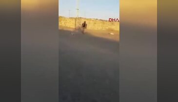 Ağrı'da yavru köpeğe işkence yapan kişi hakkında yakalama kararı
