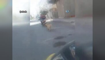 Köpeğin boğazına ip geçirip motosikletle sürükledi