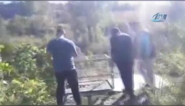 Bursa'da yaralı tilkiye şefkat eli