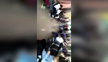 Avusturya polisi Türk yolcuları köpeklerle aradı!