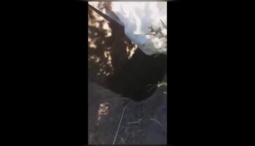 Bursa'da nefes kesen köpek kurtarma operasyonu!