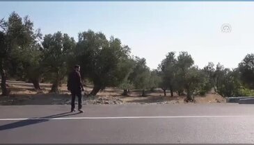 Zeytinlikte kafasını kesmişler! Ceset Bursa'ya gönderildi
