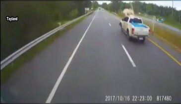 Kamyonet yola çıkan ineğe çarptı