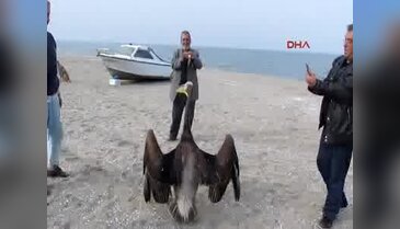 Bursa'da göç yolunda zorunlu mola