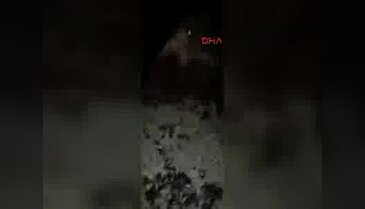 Aracıyla çarptığı domuzdan böyle özür diledi