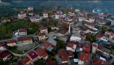 Bursa'da sezonu 11 lira 75 kuruştan açan zeytin çiftçiyi güldürdü
