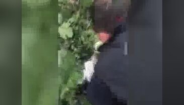 İstanbul'da 123 tüp içerisinde kobra zehiri ele geçirildi