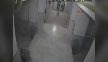Bir cani daha! Evinin önünde gelen kediye tekme attı...