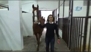 Bursa'da üniversiteli kızlar, ojeli ellerle atlara nal çakıyor
