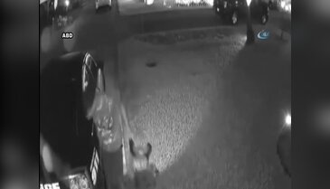 Polis aracını soyup soğana çevirdi