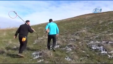 Bursa'da tilkinin imdadına ekipler yetişti