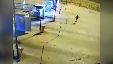 Aceleci yaya metrelerce öteye uçtu