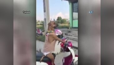 Sevimli köpek sahibini böyle bekledi