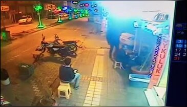Bursa'da uyuyan köpeğe acımasızca tekme attı