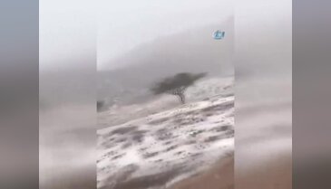 Birleşik Arap Emirlikleri'nde çöle kar yağdı