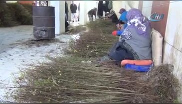 Türkiye'nin çöğürünü Bursa İnegöl karşılıyor