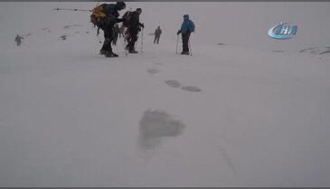 Bursa Uludağ'da ayıların ayak izleri şaşkına çevirdi