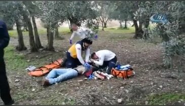 Bursa'da zeytin tarlasındaki kız kavgası kanlı bitti
