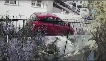 Pitbullun sokak köpeğine saldırdığı anlar kamerada